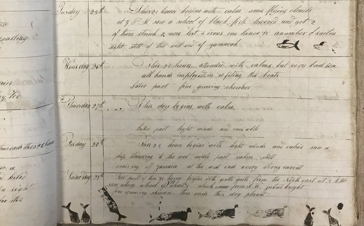 This section of Industry’s logbook includes stamps indicating that whales were either seen or captured by the crew. (Courtesy of the New Bedford Whaling Museum)