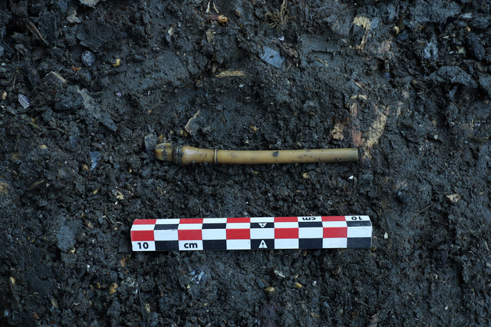 A finely crafted bone stylus used for making notes on wax tablets was found amid the remains of a medieval wharf in the Bjørvika neighborhood of Oslo, Norway. It may have been lost by an accountant recording a ship’s cargo. (© NIKU)