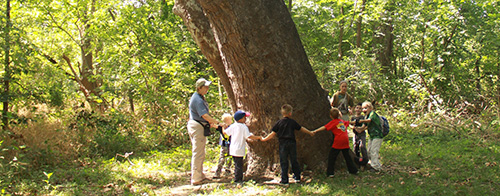 Heard Natural Science Museum and Wildlife Sanctuary